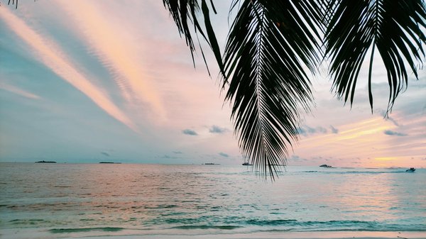 Quels sont les critères pour choisir une location de vacances en Algarve avec des cours de surf et des excursions en bateau?